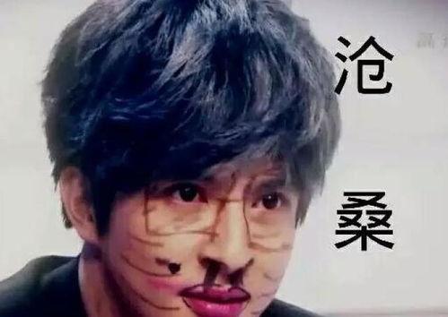 薛之谦泥潭爆料视频大全,揭秘背后真相与情感纠葛  第2张